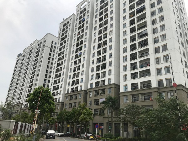 Art Stella Thị Trường